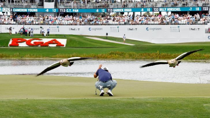 The Florida Swing gets underway at PGA National's Champion Course.